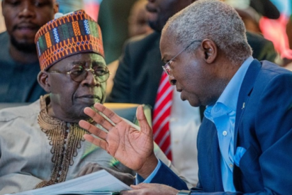 Why I won’t advise Tinubu on television — Fashola